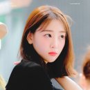 이브노래바