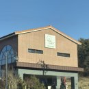 호랑이 | 안동대형카페 까지와 호랑이 호랑이버거 후기