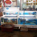 제주삼다도횟집1호점