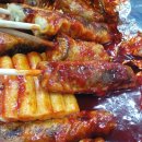 꼬마애견 이미지