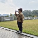 용인대 백호 합기도 체육관 이미지