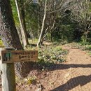 치유의 숲 쉼팡3 화장실 | 제주 서귀포 치유의 숲 "가멍, 오멍 어디로 가야 하지?"