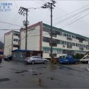 화신동백 이미지