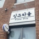 싱그라