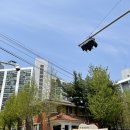 예루살렘소아청소년과의원 이미지