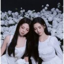 도드리 네이버블로그