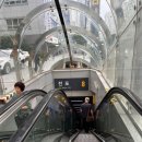 팝스테이 이미지