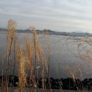순천별량중학교 Daum카페