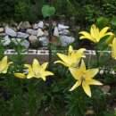 승희네농장 이미지