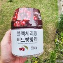 소취연 | 다이소 블랙체리향 비드 방향제 220g 내돈내산 후기