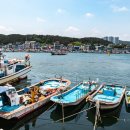 정자항 공원 이미지