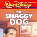 Refine dog 이미지