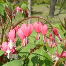 평촌고등학교 이미지