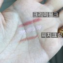 영클리오 | 내돈내산 올리브영 립펜슬 하트퍼센트 vs 클리오 솔직후기 (피치크림 미쳤다)