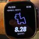 노원동3가 MG새마을금고 앞 | 경복궁 댕댕런 후기: 서울 도심 속 8.28km GPS 러닝, 강아지 모양으로 그려봤어요!