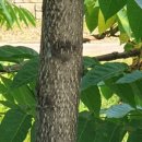 비산 빗물펌프장 이미지