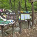 초부리유아숲체험원 이미지