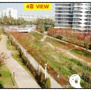 수원-0243 이미지