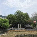 석불치킨 네이버블로그