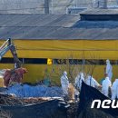 김대홍축산 뉴스1
