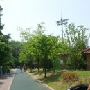 동탄센트럴파크 배드민턴장 네이버블로그