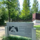 담양클로버 이미지