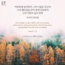 사보라