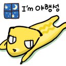 게코포레스트