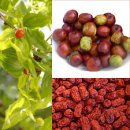 강성한의원 이미지