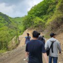 망치를 든 고생물학자의 공룡이야기 | 산 위에서 느끼는 오르도비스기의 물결 - 2023년 한국고생물학회 춘계학술답사