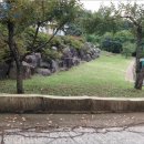 대병면사무소 이미지