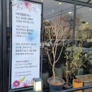 아이엠로사 이미지