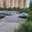 천왕봉흑돈 이미지