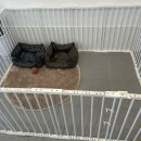 24시 카페 몽몽 이미지