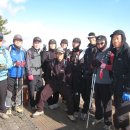 샘물상회 이미지