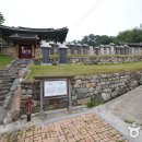 서림공원 유아숲체험원 이미지