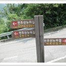 도계체육공원 이미지