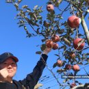 명지농원 이미지