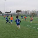 정동생활체육시설 이미지