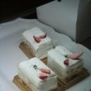 Biscuit비스퀴