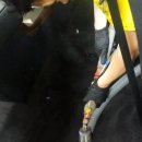 대구자동차실내크리닝