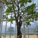 신체의 열매 | ★2번 째 방문, 산청 동의보감촌 후기★