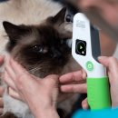 동백동물병원 이미지