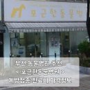 부천 동물병원 추천 포근한동물병원 예방접종 진료비 가격정보