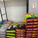 성지애견 이미지