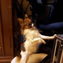 우강초등학교 이미지