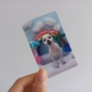 도그뷰티 이미지