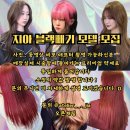 살롱애 이미지
