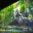 원더파크 이미지