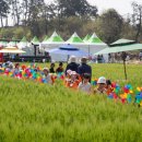 수제 맥주 특화사업장 이미지